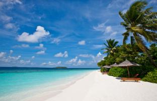 Reethi Beach luxury diving resort